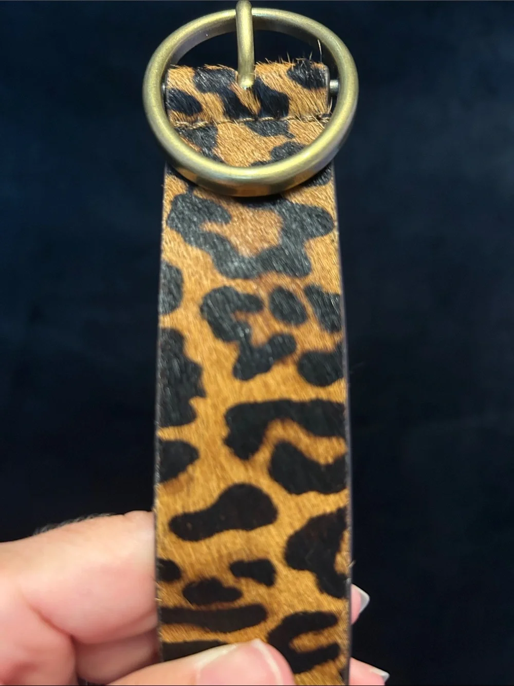 New American Eagle S Leopard Print Women's Belt with Brass Oval Buckle - Brown